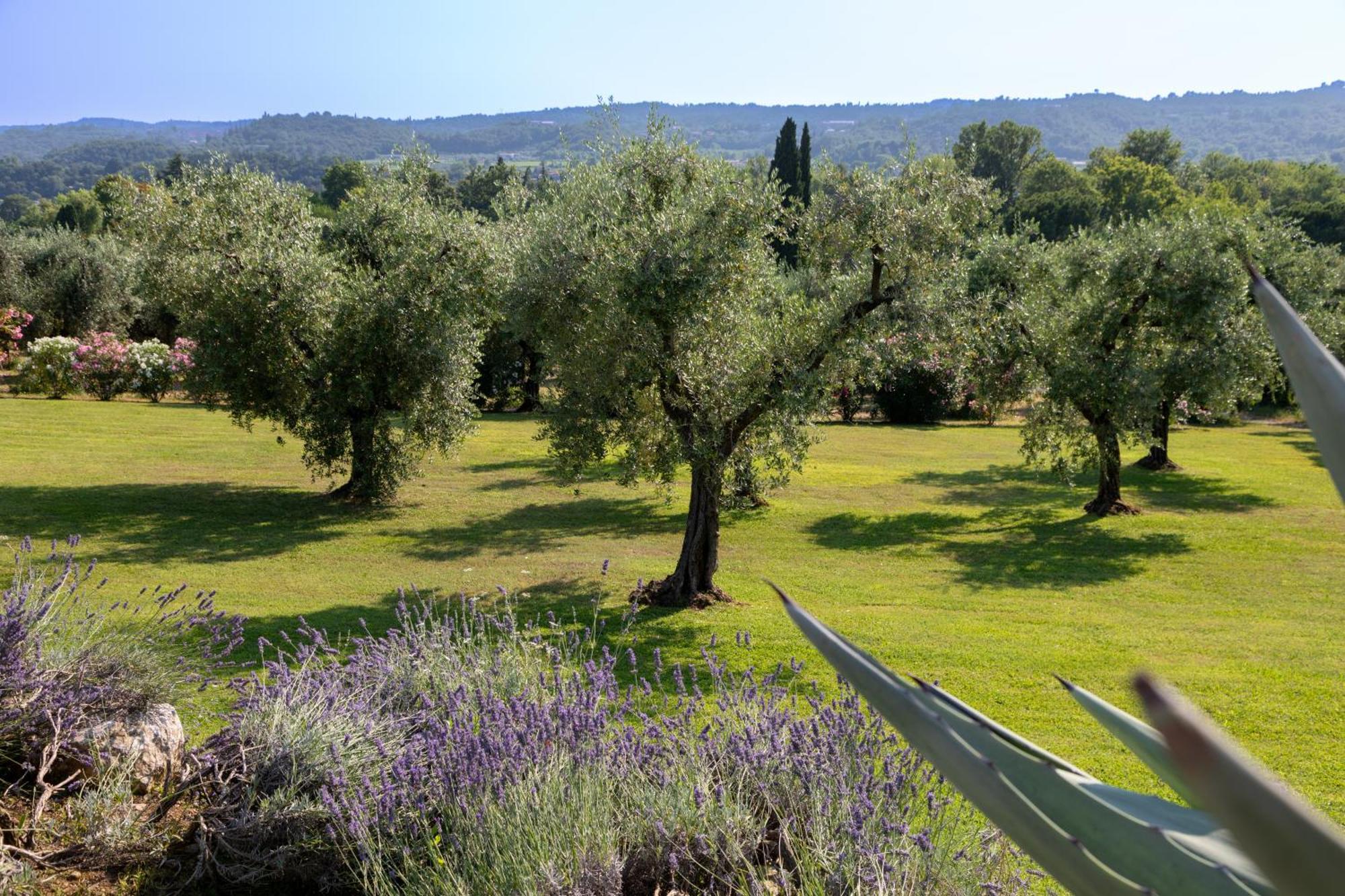 Poderi La Rocchetta Luxury Villa On The Hills Of Lake Garda San Felice del Benaco Exterior foto