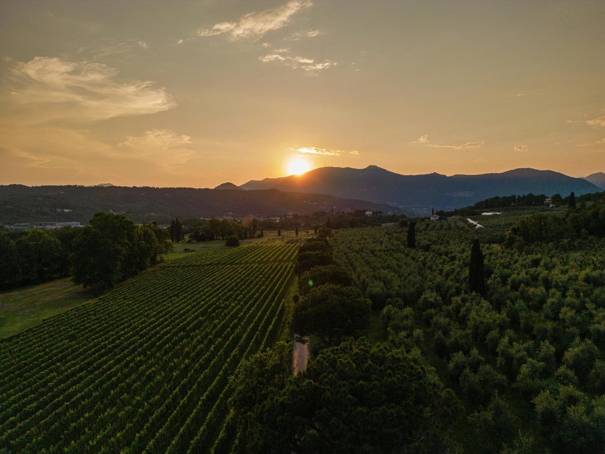 Poderi La Rocchetta Luxury Villa On The Hills Of Lake Garda San Felice del Benaco Exterior foto